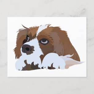 Cavalier King Charles Spaniel Welpe Postkarte