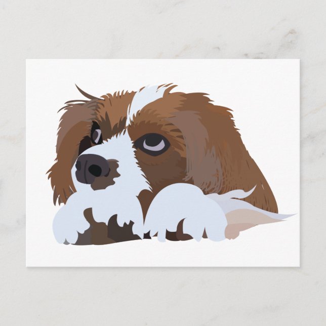 Cavalier King Charles Spaniel Welpe  Postkarte (Vorderseite)