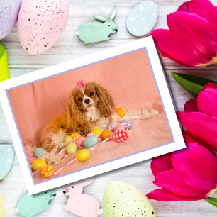 Cavalier King Charles Spaniel Welpen-Osterkarte Feiertagskarte