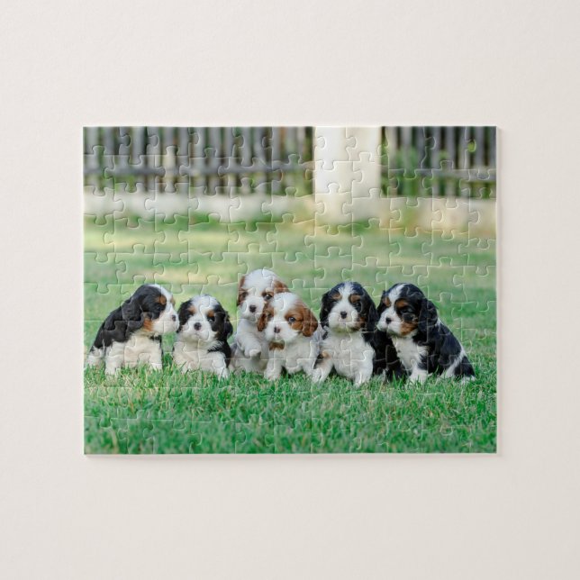 Cavalier King Charles Spaniel Welpen Puzzle (Horizontal)