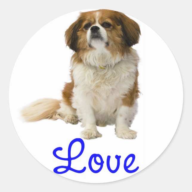 Cavalier King Charles Spaniel Welpen Sticker (Vorderseite)