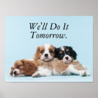 Cavalier King Charles Spaniel Welppies