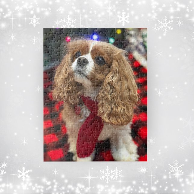 Cavalier King Charles Spaniels mit Winterskarf Puzzle (Von Creator hochgeladen)