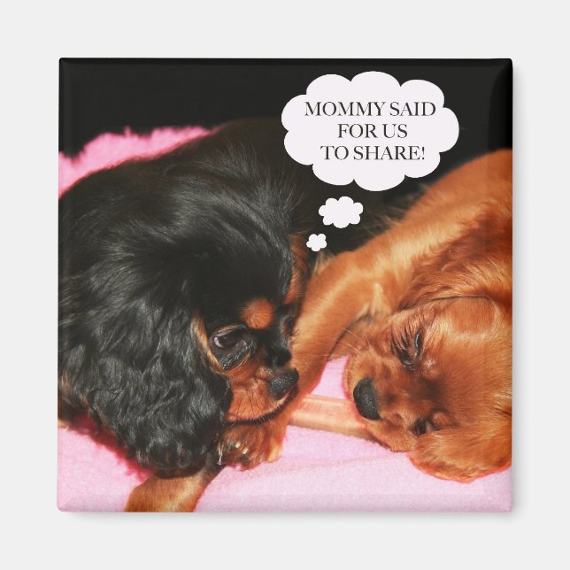 Cavalier King Charles Spaniels Puppies Magnet (Vorne)