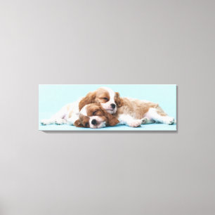 Cavalier King Charles Spaniels Schlafen Leinwanddruck