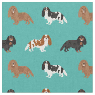 Cavalier King Charles Spanisch Türkis Stoff