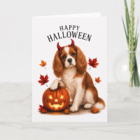 Cavalier King Charles Teufelshund