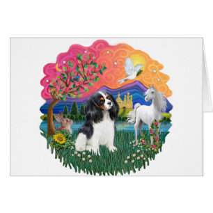 Cavalier King Charles (tri)