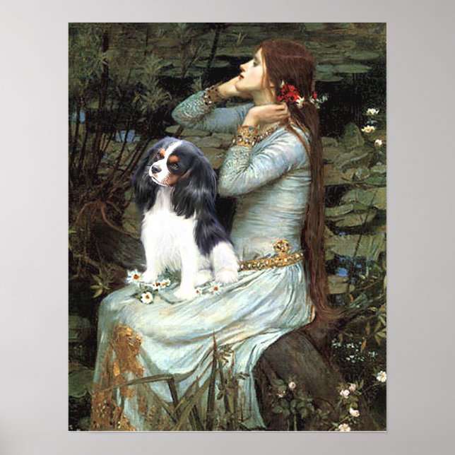Cavalier King Charles (Tri color) - Ophelia Sitzpl Poster (Vorne)