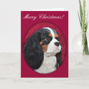 Cavalier King Charles Tri-Color Weihnachtskarte Feiertagskarte