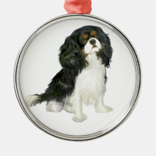 Cavalier King Charles - Tri Colored Ornament Aus Metall