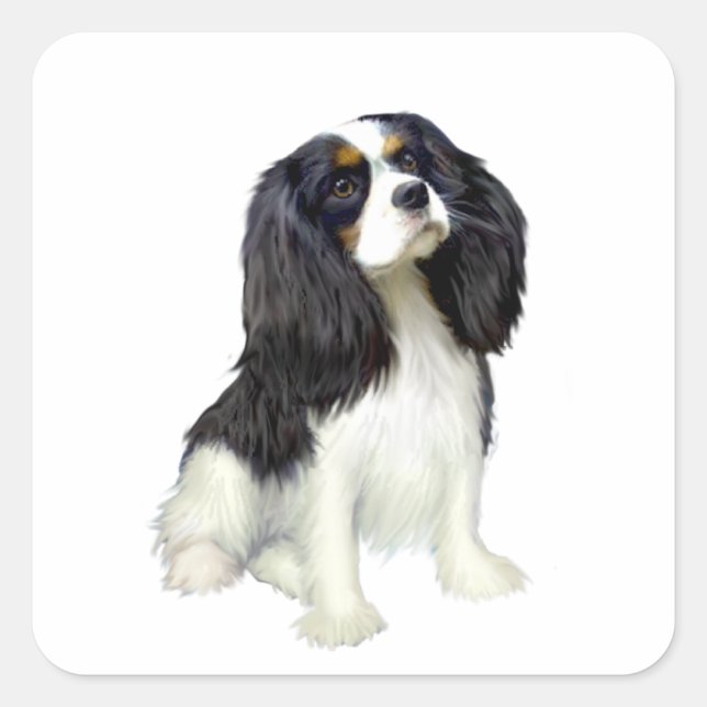 Cavalier King Charles - Tri Colored Quadratischer Aufkleber (Vorderseite)