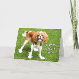 Cavalier King Charles tritt gegen diesen Krebs Kar Karte