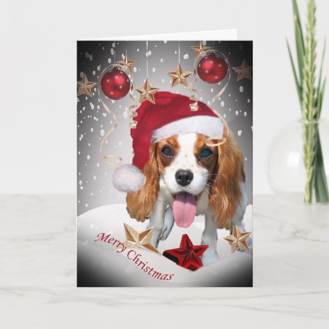 Cavalier King Charles Winter Weihnachtskarten Feiertagskarte (Vorderseite)