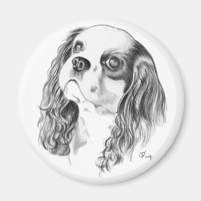 Cavalier King Charles Zeichnend Magnet (Vorne)