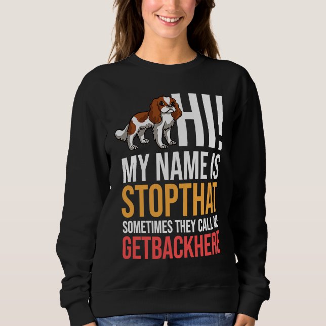 Cavalier King Charlies Spaniel Dog Puppies Owner Sweatshirt (Vorderseite)