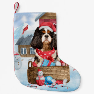Cavalier King Dog im Schnee Weihnachtshundehaus Kleiner Weihnachtsstrumpf