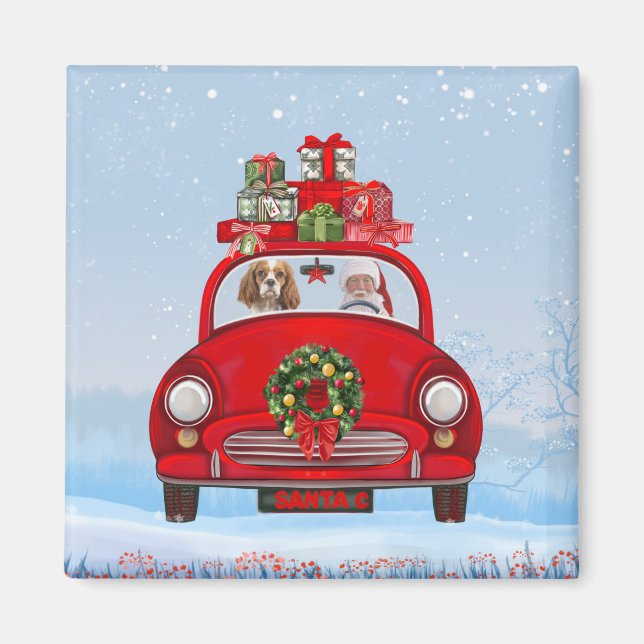 Cavalier King Dog in Auto mit dem Weihnachtsmann Magnet (Vorne)
