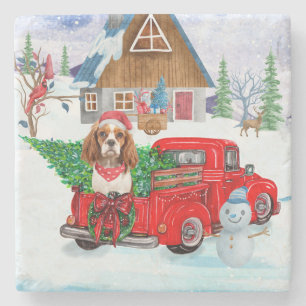 Cavalier King Dog in Christmas Delivery Truck Schn Steinuntersetzer