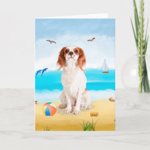 Cavalier King Dog on Beach  Karte