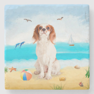 Cavalier King Dog on Beach Steinuntersetzer