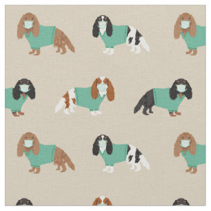 Cavalier König Charles Spaniel in der Panzerbräu Stoff