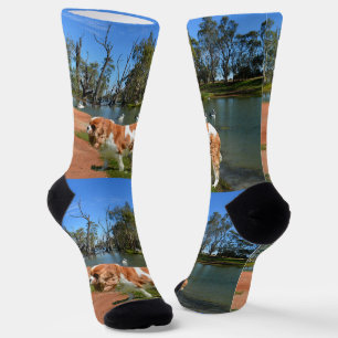 Cavalier Spanel River Walk, Crew Socks Socken