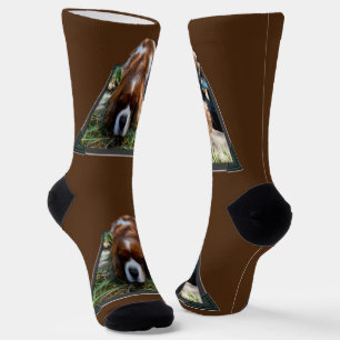 Cavalier Spaniel Popout Art, Crew Socks Socken