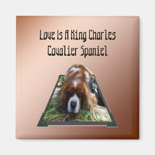 Cavalier Spaniel Popout Art, Kühlschrankmagnet Magnet