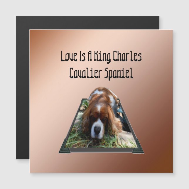 Cavalier Spaniel Popout Art, Magnetkarte (Vorne/Hinten)