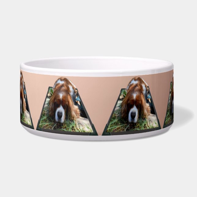Cavalier Spaniel Popout Art, Napf (Vorderseite)