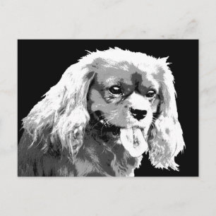 Cavalier spaniel Postcard Postkarte