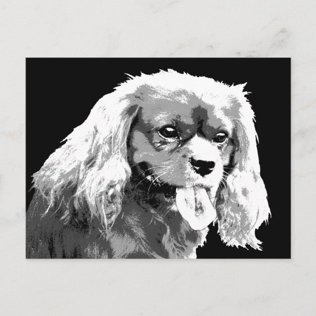Cavalier spaniel Postcard Postkarte (Vorderseite)