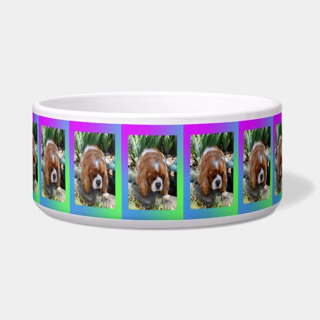 Cavalier Spaniel Sooky Face, Napf (Vorderseite)