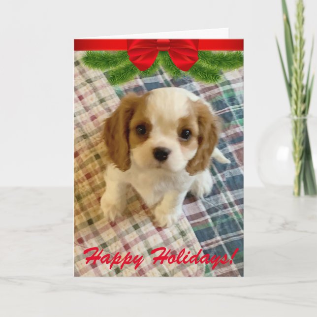 Cavalier Spanier Welpe Holiday Card Karte (Vorderseite)