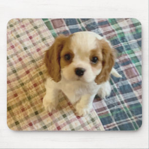 Cavalier Spanier Welpe Mousepad