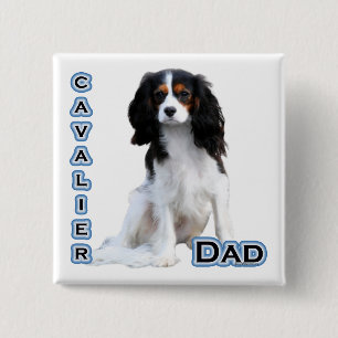 Cavalier Vater 4 - Schaltfläche Button