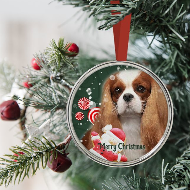 Cavalier Weihnachtsschmuck (Von Creator hochgeladen)