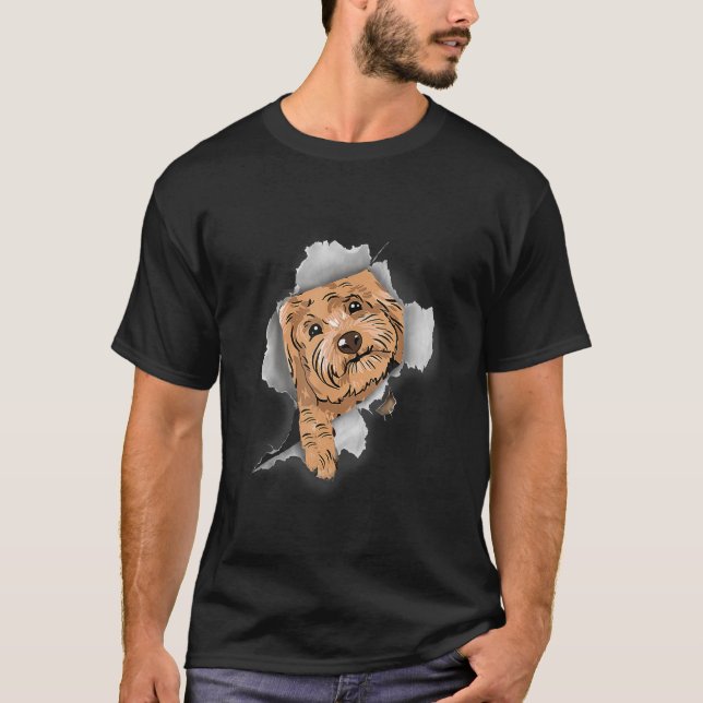 Cavapoo Cavapoo Puppy Cavapoo Liebe cavapoo poodle T-Shirt (Vorderseite)
