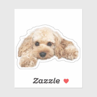 Cavapoo Cavoodle Cockerpoo Welpe Designer Hund Aufkleber