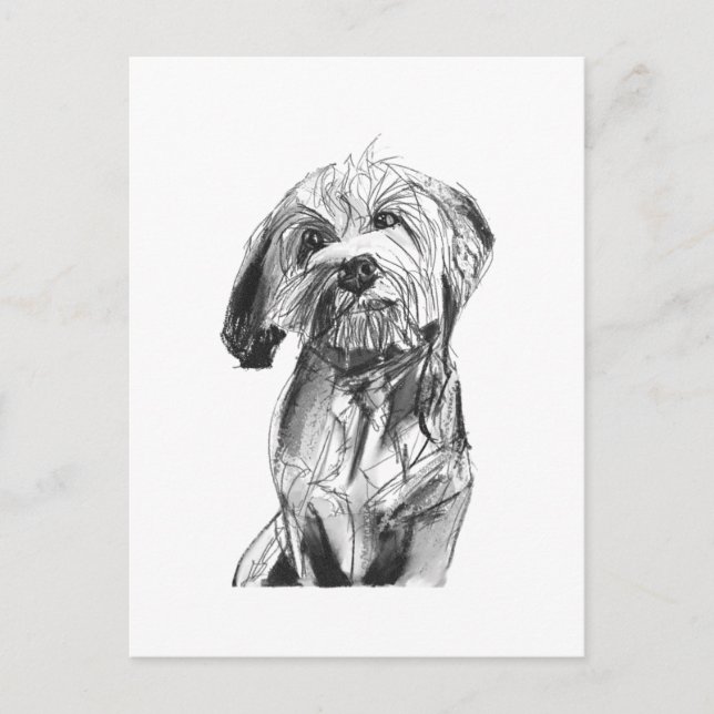 Cavapoo Postkarte – Kohlezeichnung Hund Illustrati (Vorderseite)