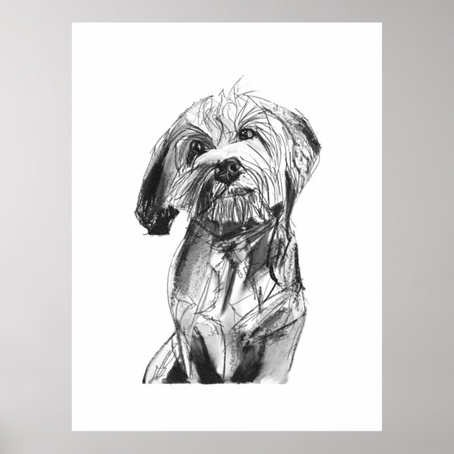 Cavapoo-Wandkunst Poster, Hunde-Kunst-Druck Poster (Vorne)