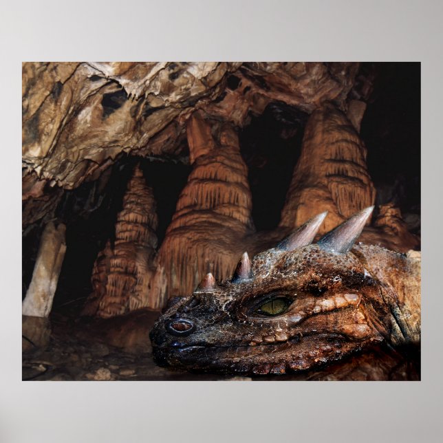 Cave Dragon Poster (Vorne)