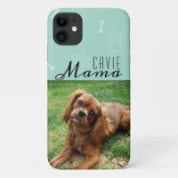 Cavie Dog Mama Foto Female Moderne Niedlich