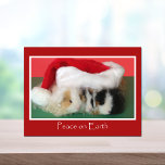 Cavy Christmas Guinea Pig Post Card Feiertagspostkarte<br><div class="desc">Christmas is a time to send a lovely greeting to all your guinea pig friends. This great postcard put some cheer in their holiday. Copyright Cool Cavy Guinea Pig Shop</div>