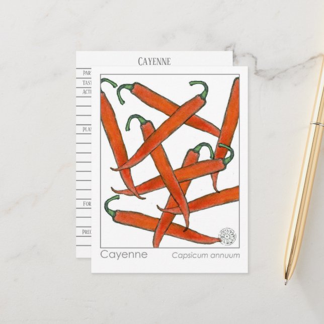 Cayenne Pepper Materia Medica Kräuterstudie Postkarte (Vorderseite/Rückseite Beispiel)