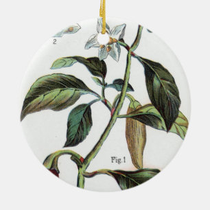 Cayenne-Pfeffer-Blume Keramikornament