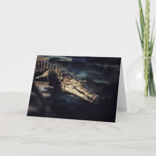 Cayman crocodile notecard karte