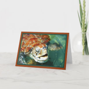 Cayman Turtle Karte