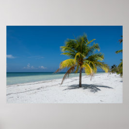 Cayo Blanco Beack in Cuba Poster